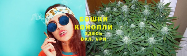 дживик Беломорск