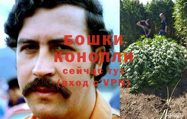 таблы Богородицк