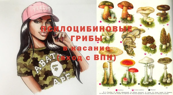 гидропоника Белокуриха