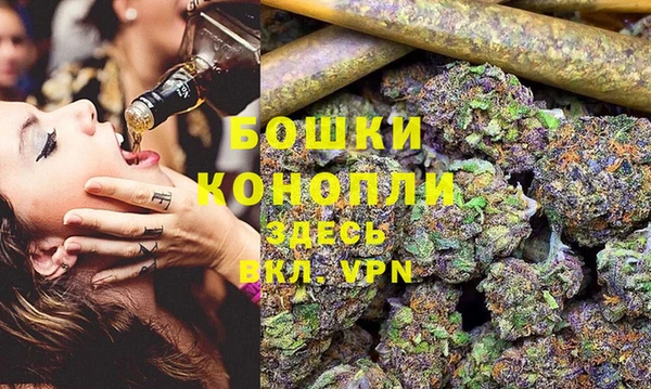 ГАЛЛЮЦИНОГЕННЫЕ ГРИБЫ Белоозёрский