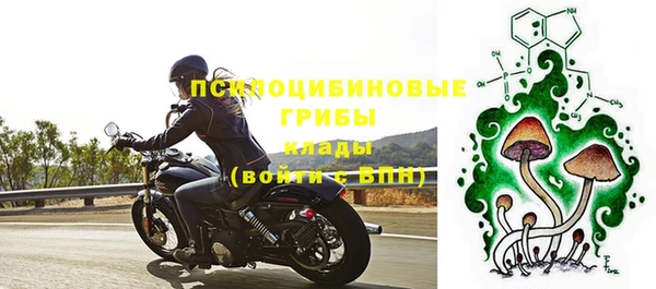 дживик Беломорск