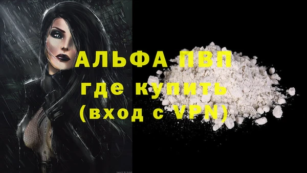 ГАЛЛЮЦИНОГЕННЫЕ ГРИБЫ Белоозёрский