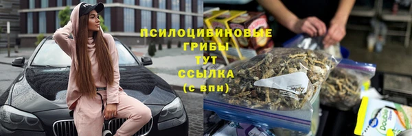 таблы Богородицк